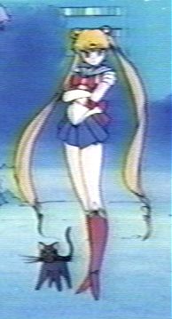 I am Sailor Moon, champion of justice, princess of the Moon Kingdom and your worse nightmare. On behalf of the Moon, I will right all wrongs...And triumph, over evil, and you're the worst kind of evil!